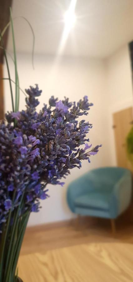 Maison De Rue: ออช ภายนอก รูปภาพ